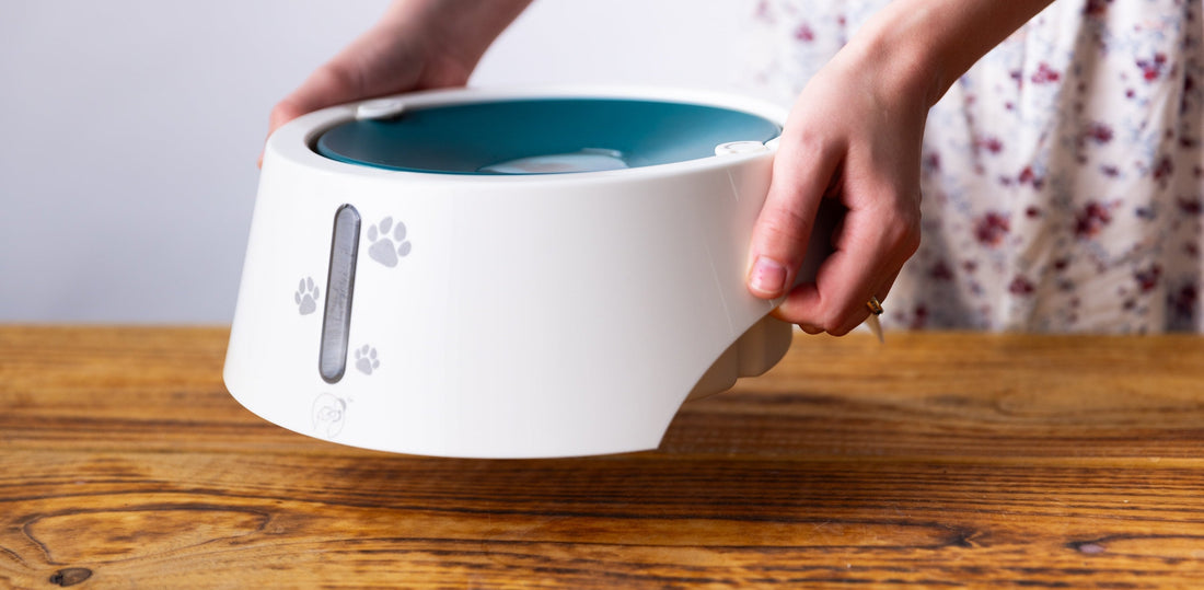 Bowl Care & Cleaning