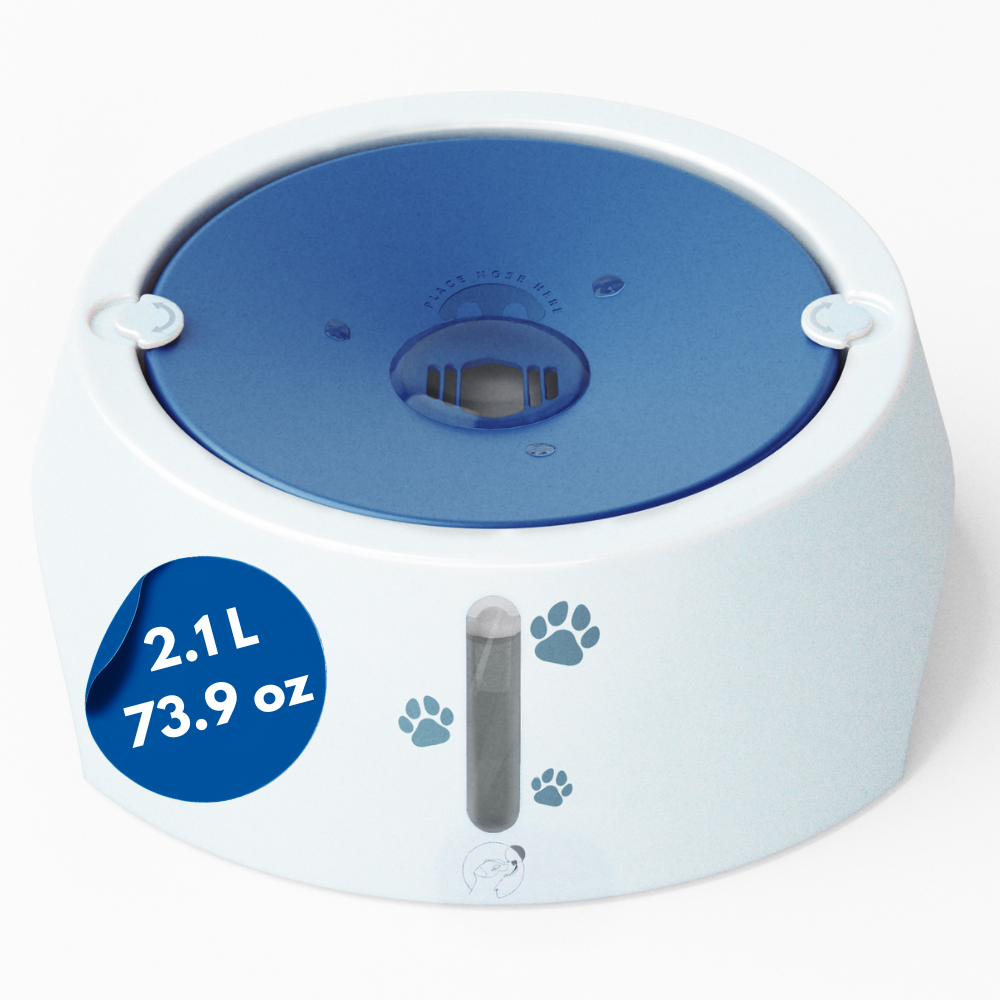 Splash Reducing Bowl 2.1L - Azure Blue