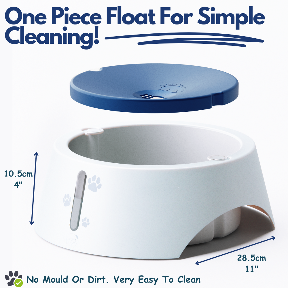 Splash Reducing Bowl 2.1L - Azure Blue