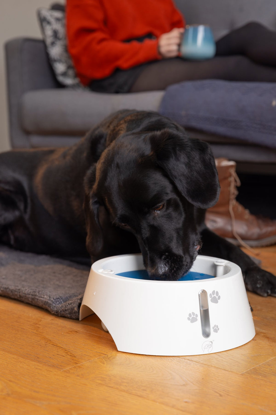 Non spill dog water bowl 2.1L – Slow feeder anti splash drinking dispenser , slip and tip proof white drink bowls for large dogs with long ears & cats with floating drip & splash stopper 