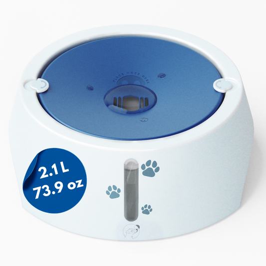 Splash Reducing Bowl 2.1L - Azure Blue
